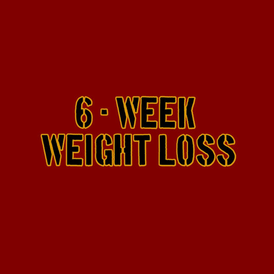 Champions Fitness 6 week fat loss program - online personal training workout plan