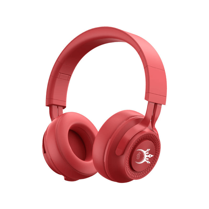 Champions Fitness Workout Headphones