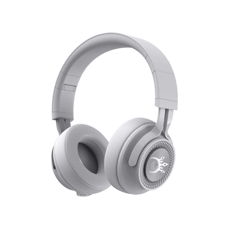 Champions Fitness workout headphones - crystal clear sound for gym training