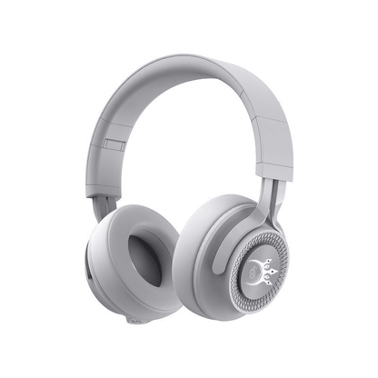 Champions Fitness workout headphones - crystal clear sound for gym training