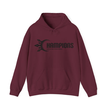 Champions hoodie workout apparel - available in multiple colors and sizes
